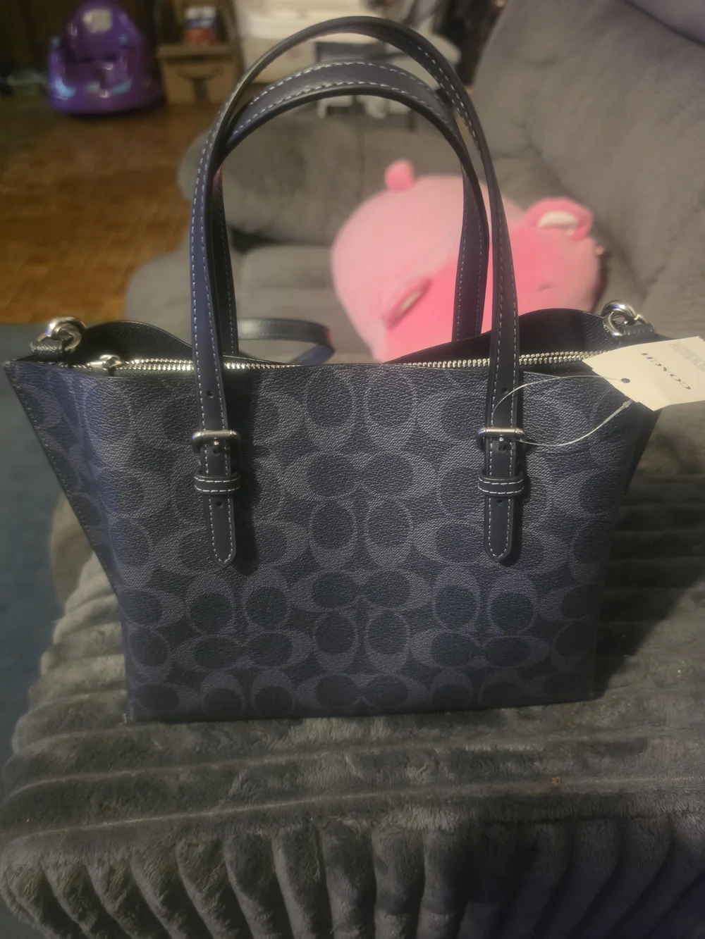 Coach signature print